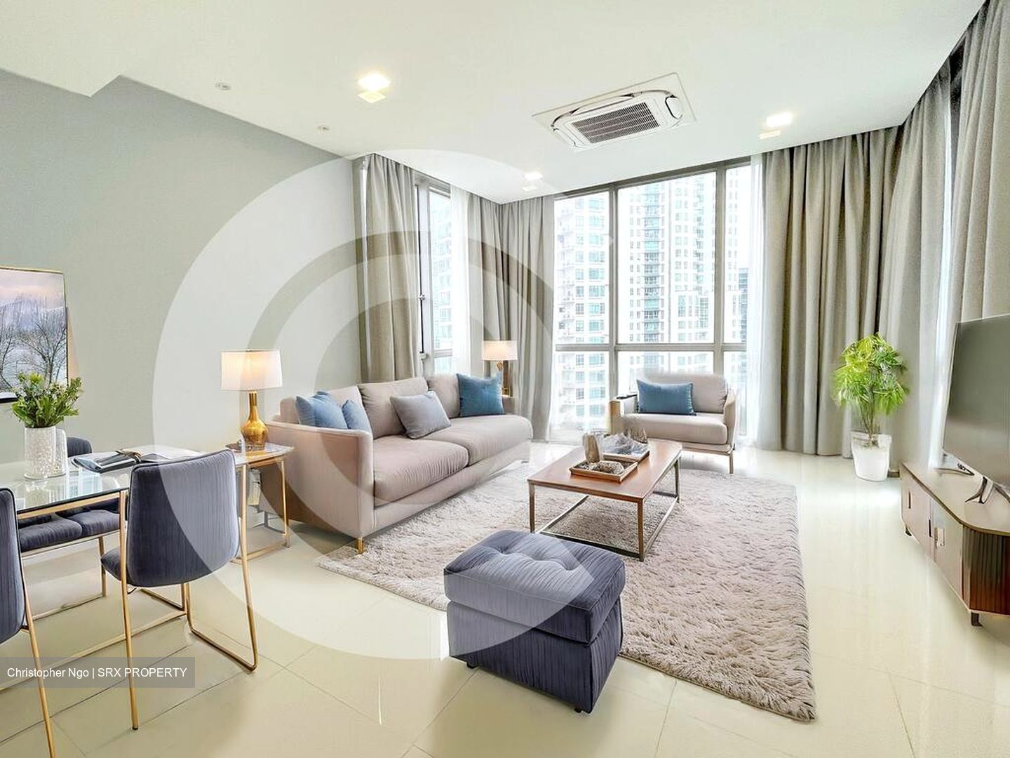 The Sentinel (D11), Apartment #516905291